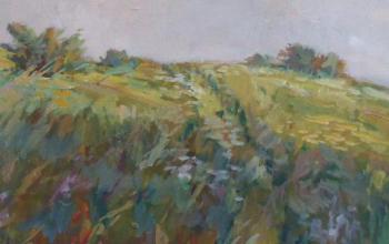 Pichlik - Meadow with bushes Pichlik - Meadow with bushes