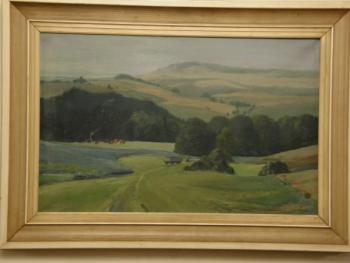 Morning fog Morning fog