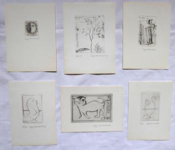 Olga Pavalova - Cat, Bird, Flowers Olga Pavalova - Cat, Bird, Flowers