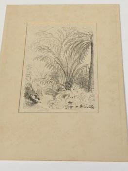 Graphics - Max Śvabinský - 1930 Graphics - Max Śvabinský - 1930