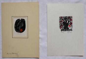 Anna Grmelova - Nude by the tree, Girl’s head Anna Grmelova - Nude by the tree, Girl’s head