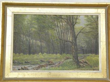 Stream in forest - Fr. Tvrz Stream in forest - Fr. Tvrz