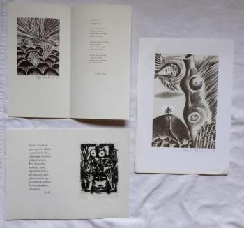 Olga Cechova - Two Poems, Girl Nude with wings Olga Cechova - Two Poems, Girl Nude with wings